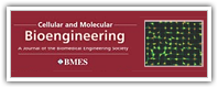 Cellular Molecular Bioengineering