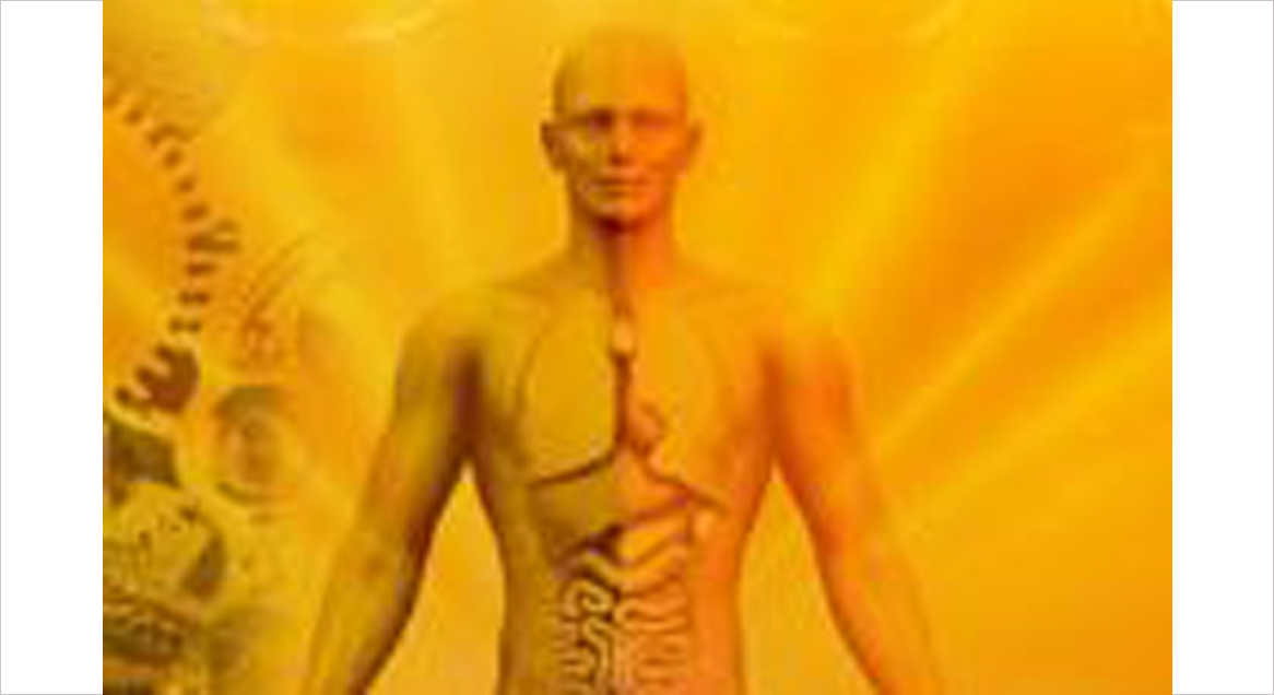 Dr.SHIVA™ Your Body Your System®