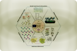 Foundations of Computational Systems Biology Exam
